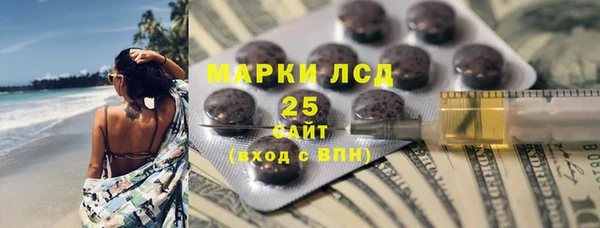 прущие грибы Заводоуковск