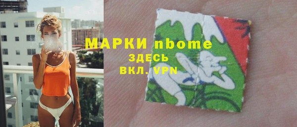 прущие грибы Заводоуковск