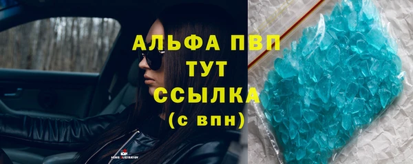 прущие грибы Заводоуковск