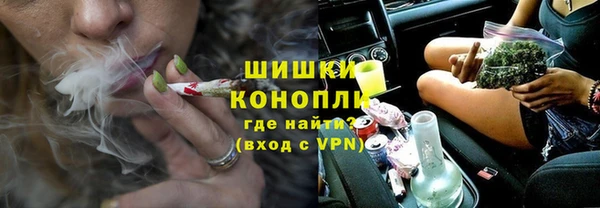 прущие грибы Заводоуковск
