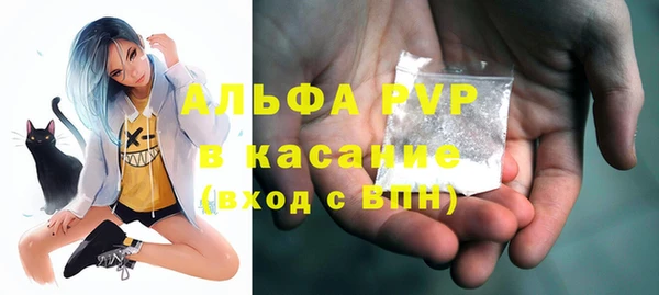 прущие грибы Заводоуковск