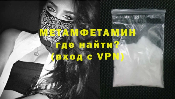 прущие грибы Заводоуковск