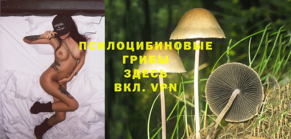 прущие грибы Заводоуковск
