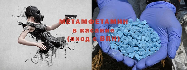 прущие грибы Заводоуковск
